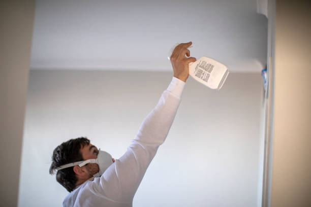 Best DIY Mold Remediation Support Services in Samoset, FL